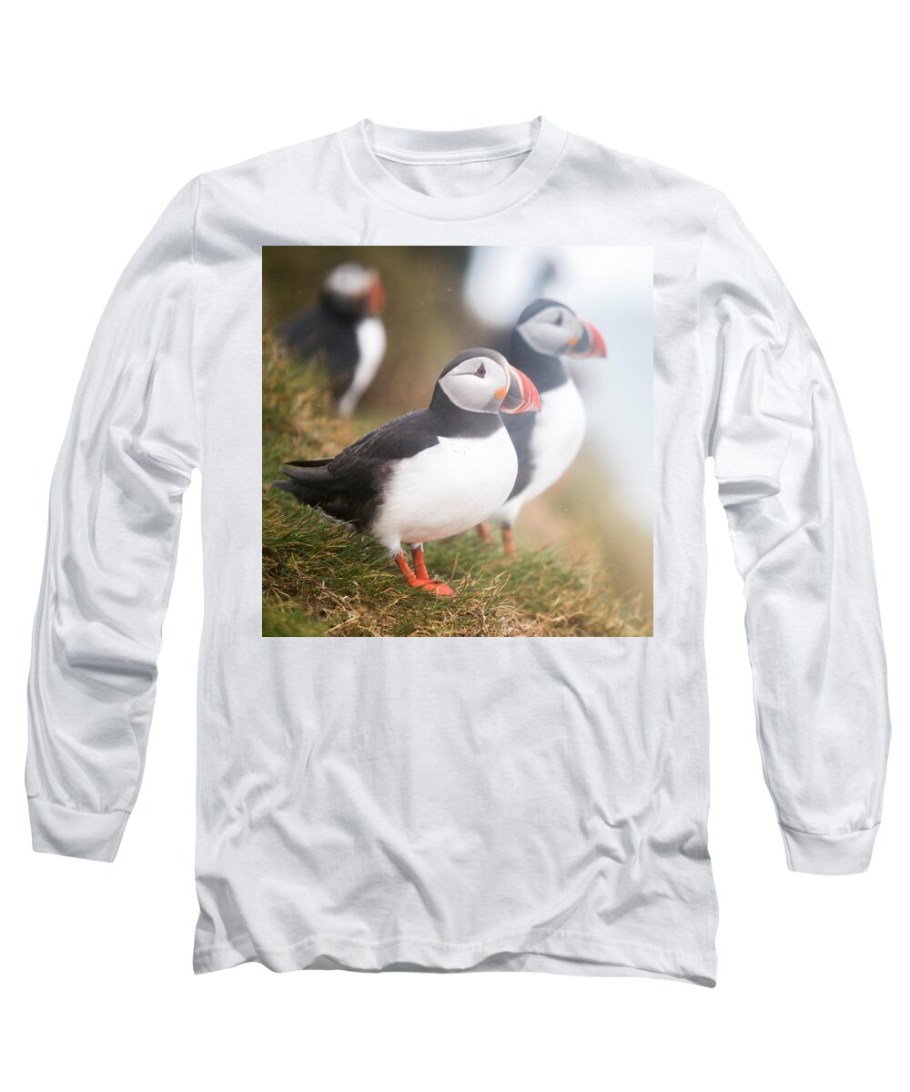 Photography Long Sleeve T-Shirt featuring the photograph Atlantic Puffins Fratercula Arctica #1 by Panoramic Images