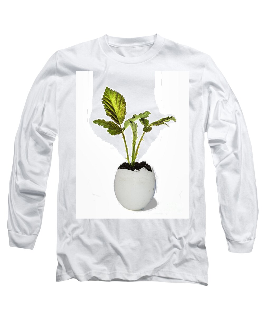 Black Berry Long Sleeve T-Shirt featuring the photograph New Beginnings by Shirley Mangini
