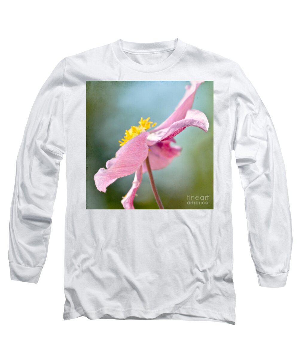 Japanese Anemone Long Sleeve T-Shirt featuring the photograph Reaching for the Sky #2 by Kerri Farley