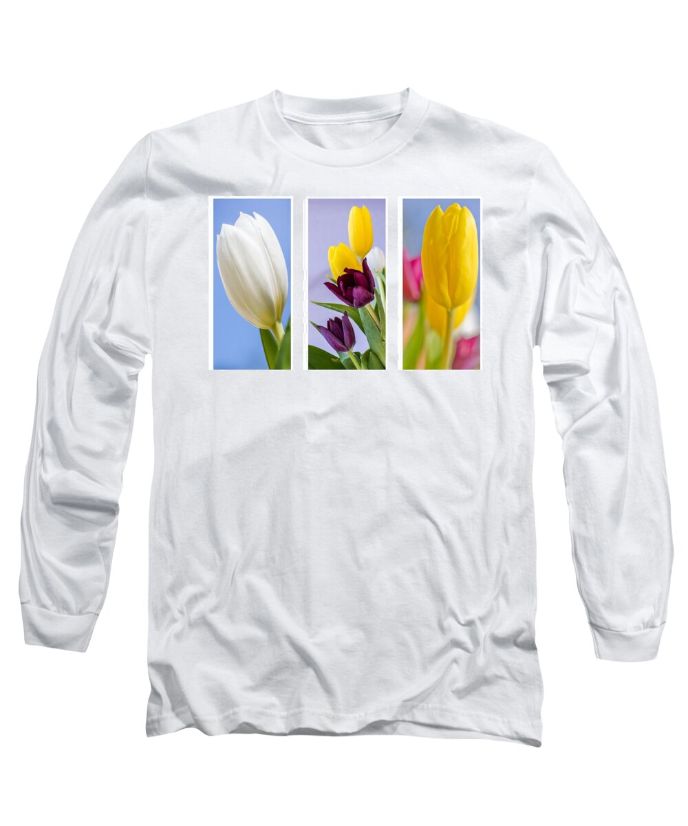 Nature Long Sleeve T-Shirt featuring the photograph Tulips #5 by Paulo Goncalves