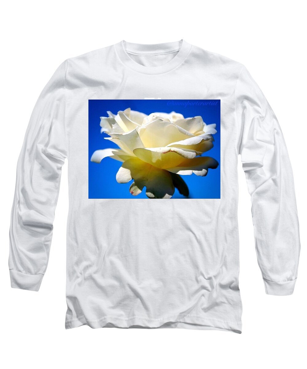 White Long Sleeve T-Shirt featuring the photograph Against The Blue A Stunning White Rose by Anna Porter