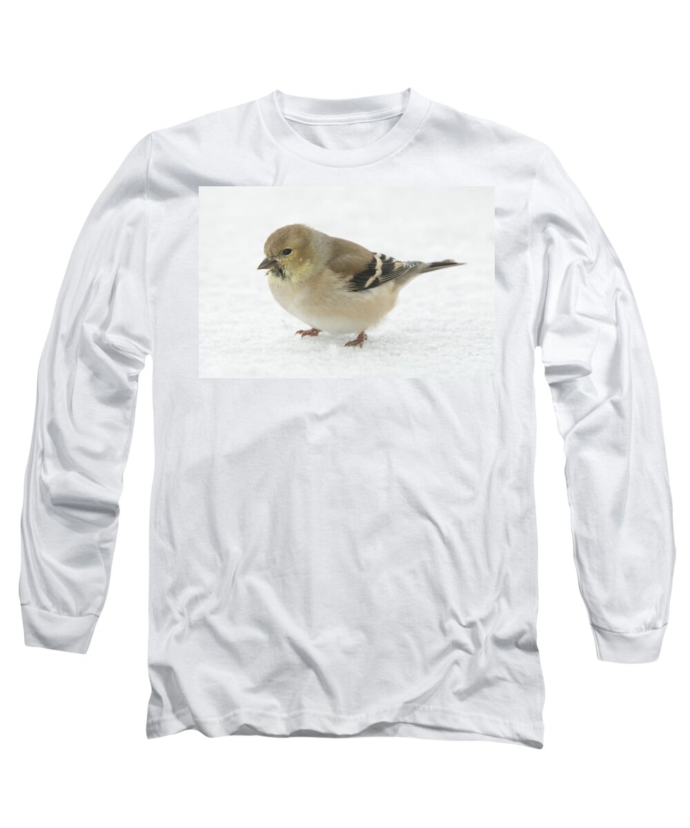 Jan Holden Long Sleeve T-Shirt featuring the photograph American Goldfinch in the Snow by Holden The Moment