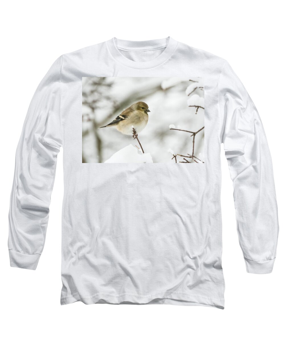 Jan Holden Long Sleeve T-Shirt featuring the photograph American Goldfinch Up Close by Holden The Moment