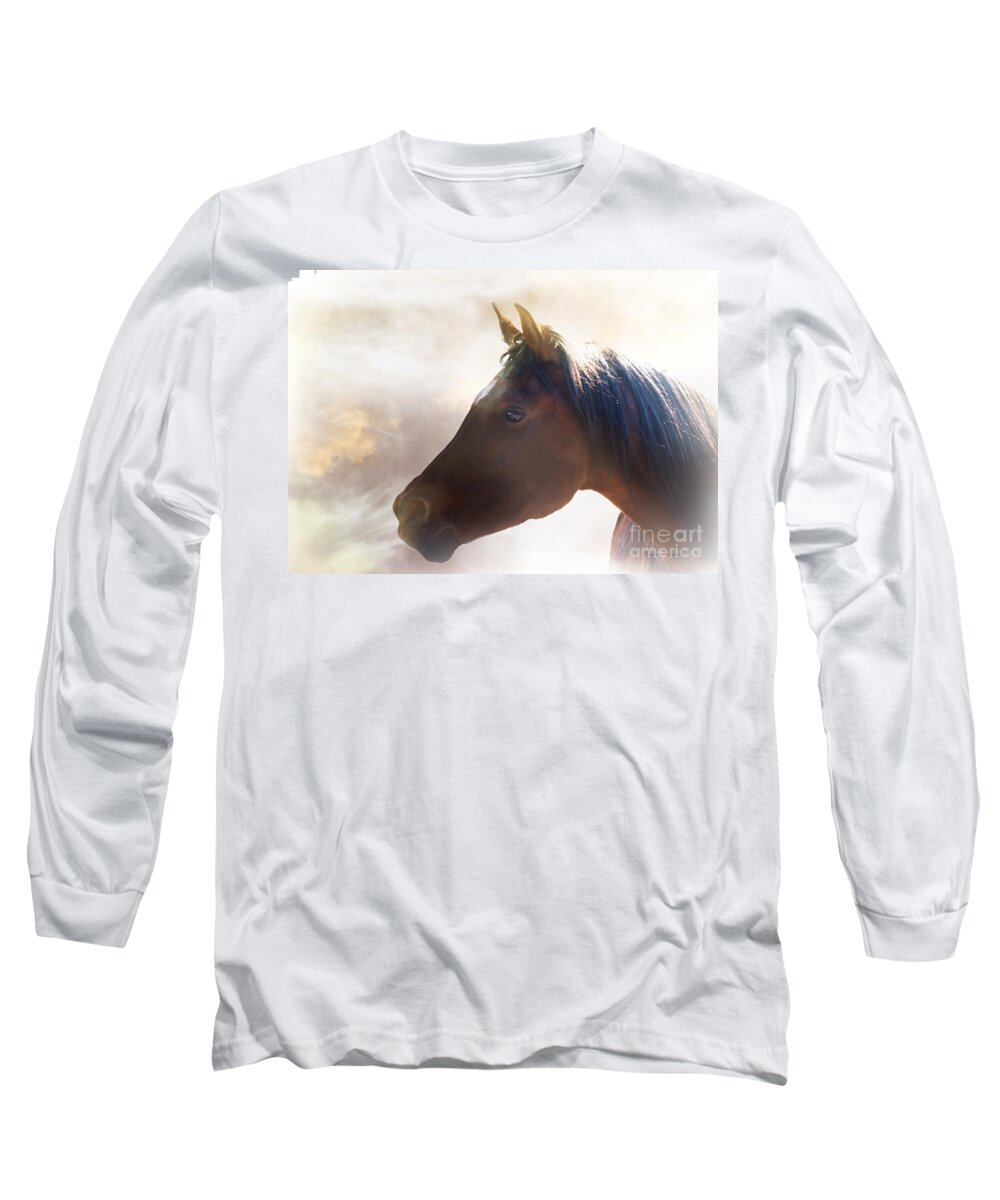 Horse Long Sleeve T-Shirt featuring the photograph Arabian Mist by Stephanie Laird