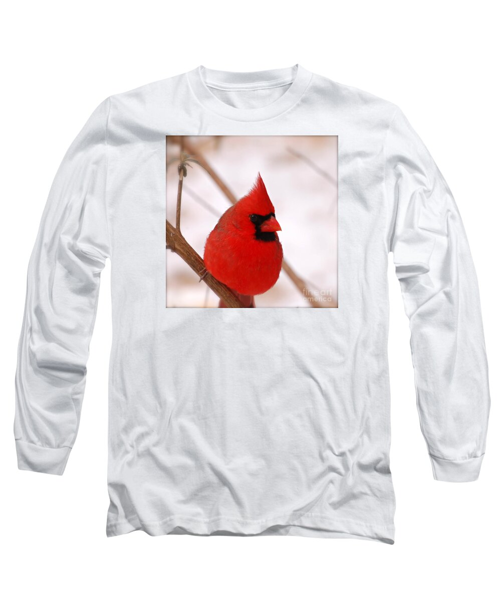 Northern Cardinal Long Sleeve T-Shirt featuring the photograph Big Red Cardinal Bird In Snow by Peggy Franz