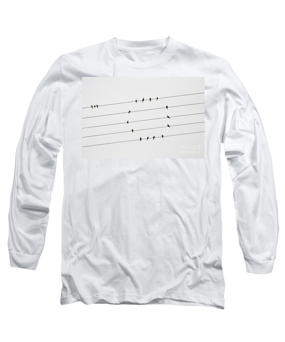 Communications Long Sleeve T-Shirt featuring the photograph Birds of a Feather by Diane Macdonald