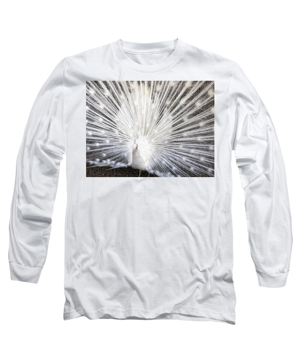 Peacock Long Sleeve T-Shirt featuring the photograph Booya by Tammy Espino