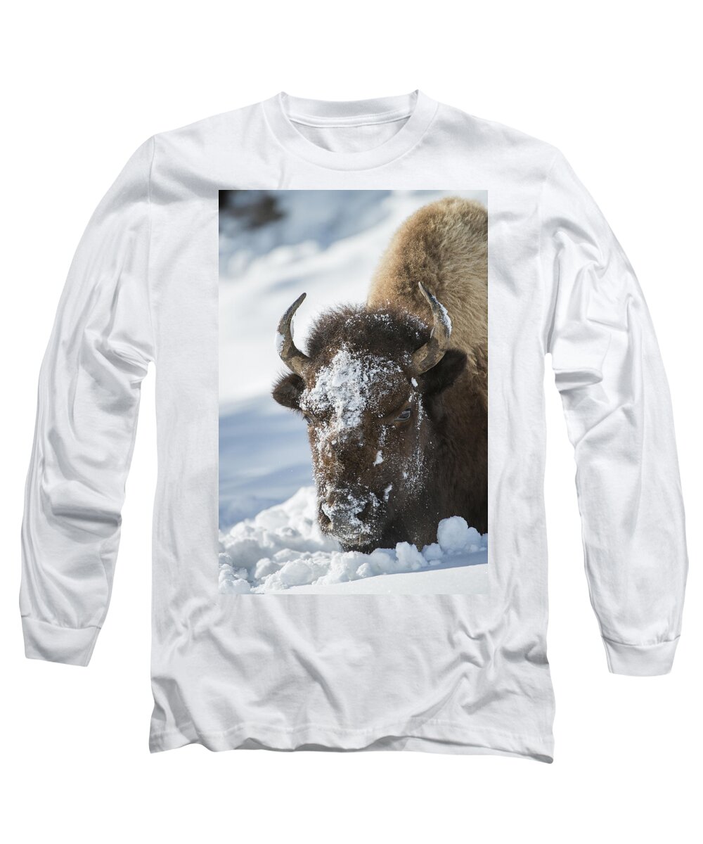 Yellowstone Long Sleeve T-Shirt featuring the photograph Buffalo in Snow by Bill Cubitt
