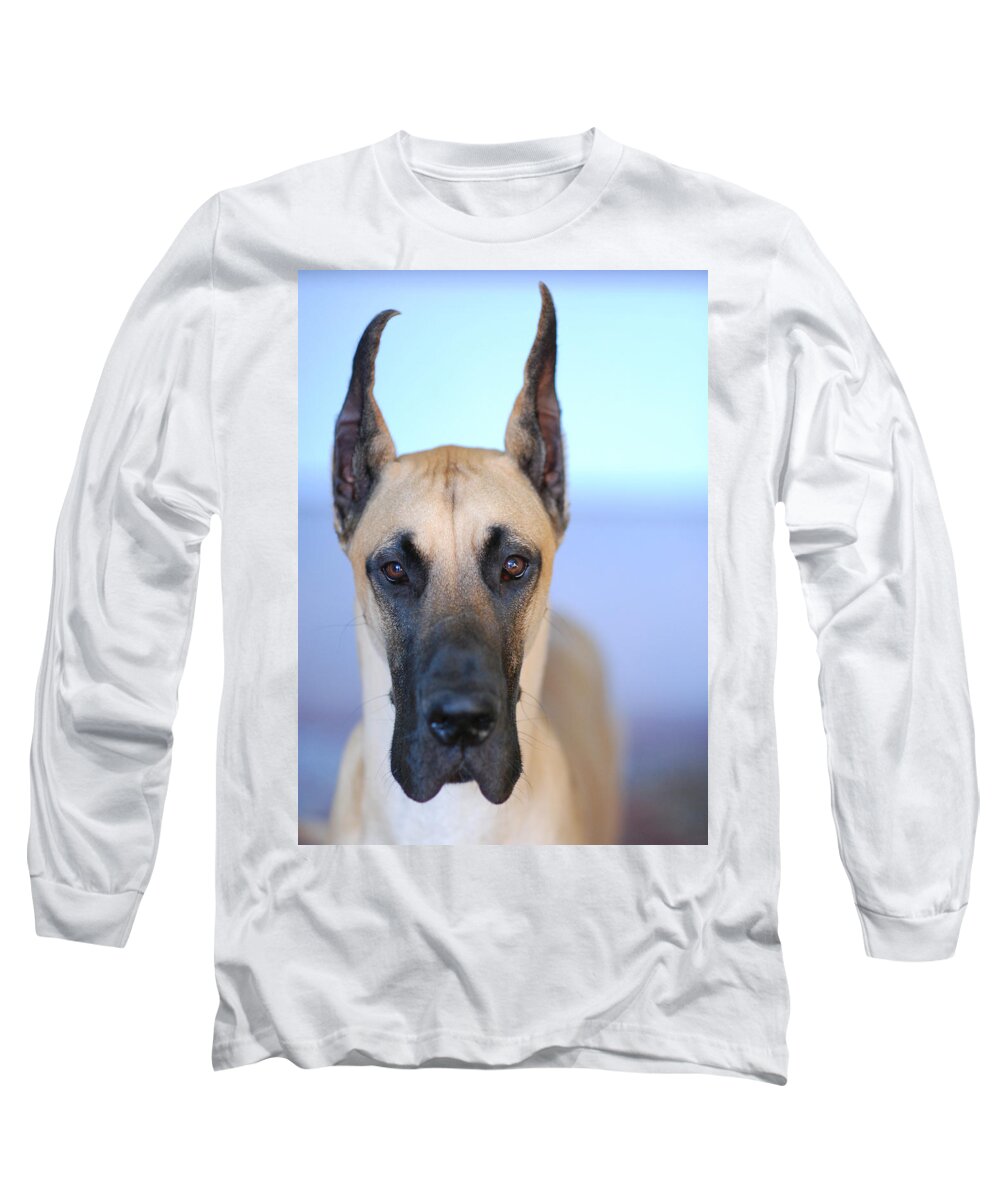 Animal Long Sleeve T-Shirt featuring the photograph Cappy by Lisa Phillips