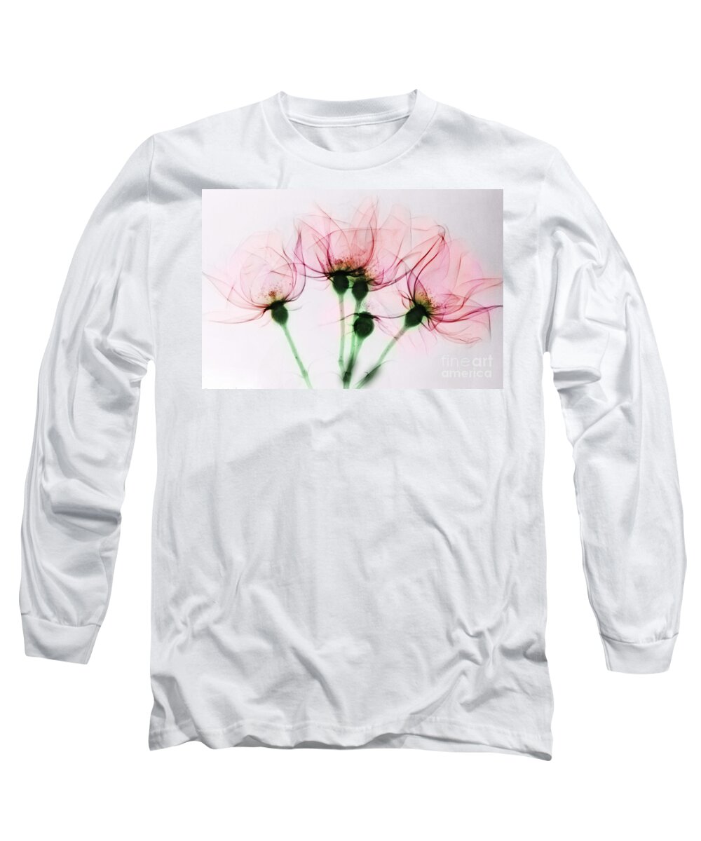 Rose Long Sleeve T-Shirt featuring the photograph Colorized X-ray Of Roses by Scott Camazine