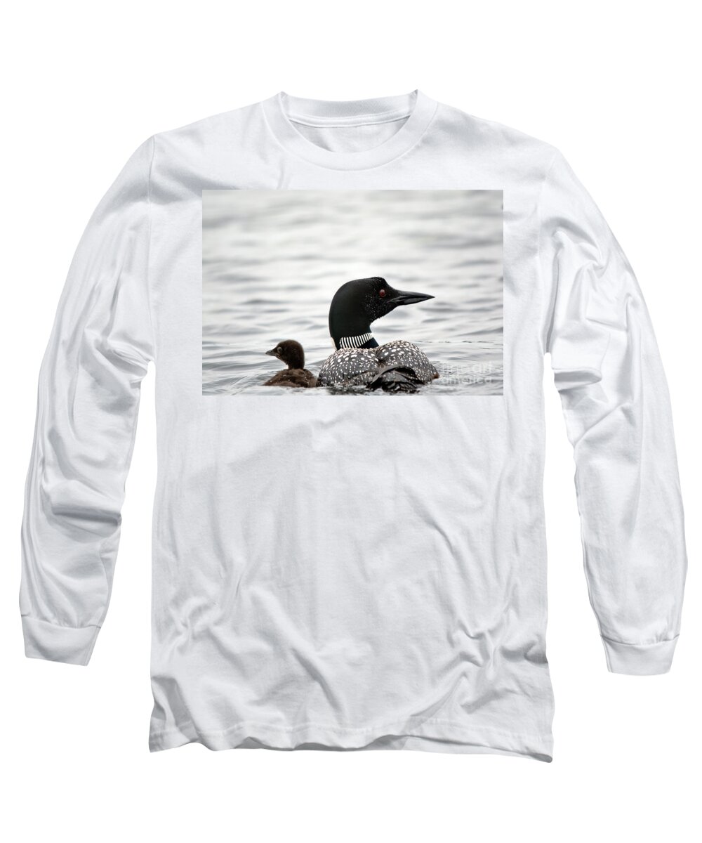 Common Loon Long Sleeve T-Shirt featuring the photograph Common Loon and Baby by Cheryl Baxter