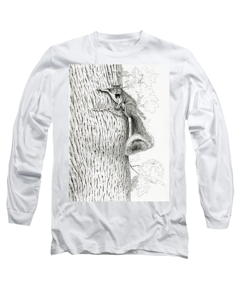 Wildlife Long Sleeve T-Shirt featuring the drawing Coveting Nuts by Timothy Livingston