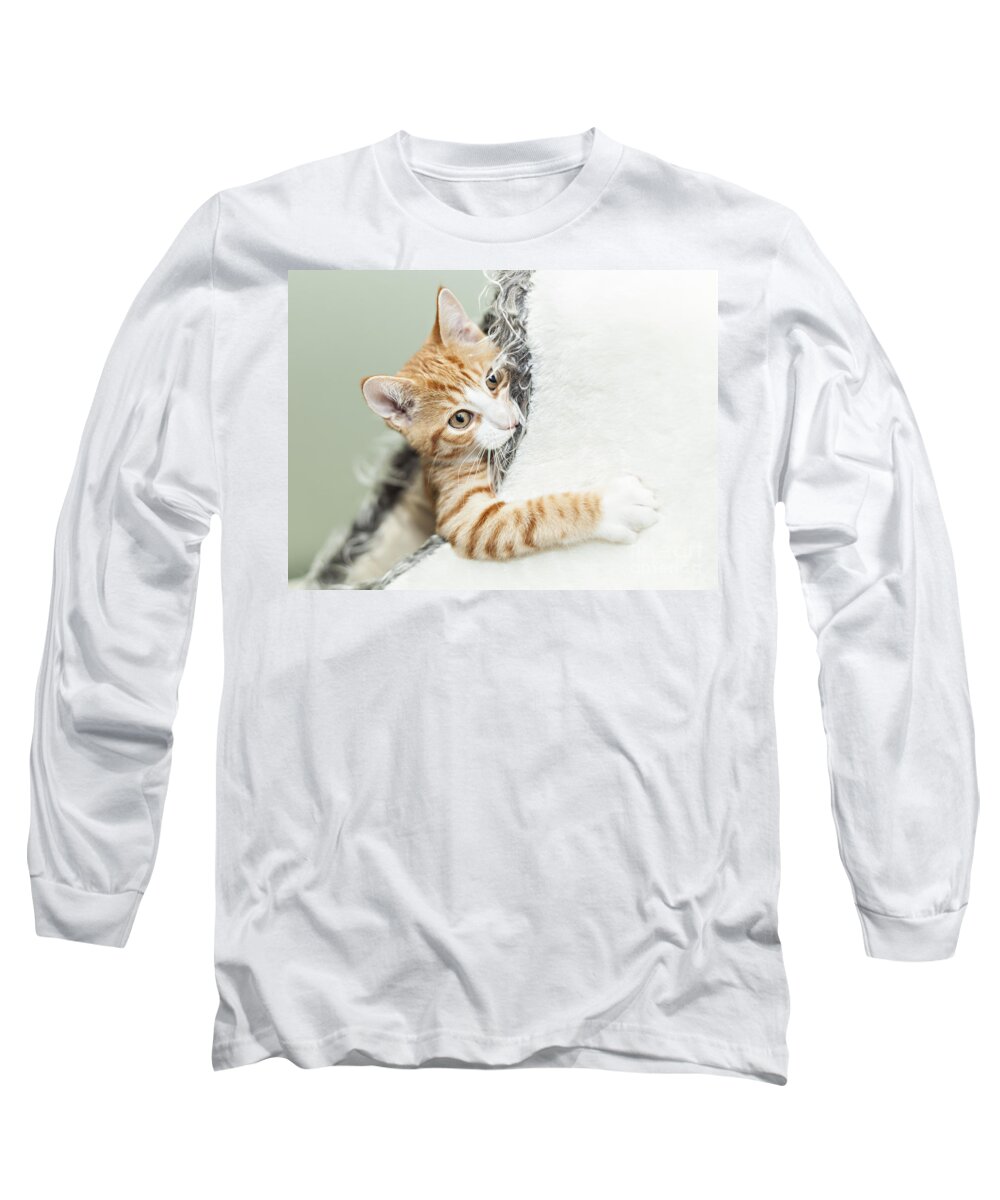 Kitten Long Sleeve T-Shirt featuring the photograph Cute ginger kitten in igloo by Sophie McAulay