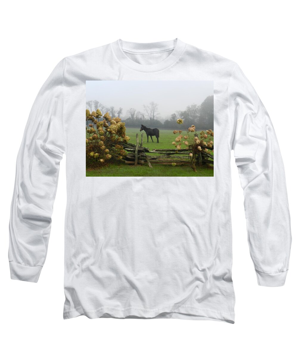 Jackass Long Sleeve T-Shirt featuring the photograph Dillard House by Deborah Ferree