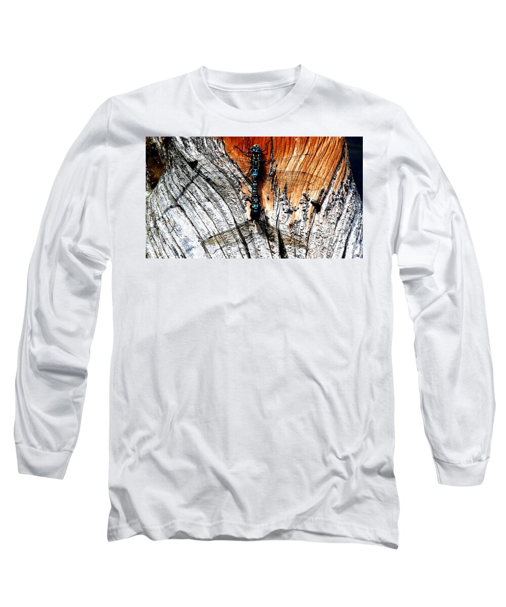Colored Long Sleeve T-Shirt featuring the photograph Dragonfly Wings by Tranquil Light Photography