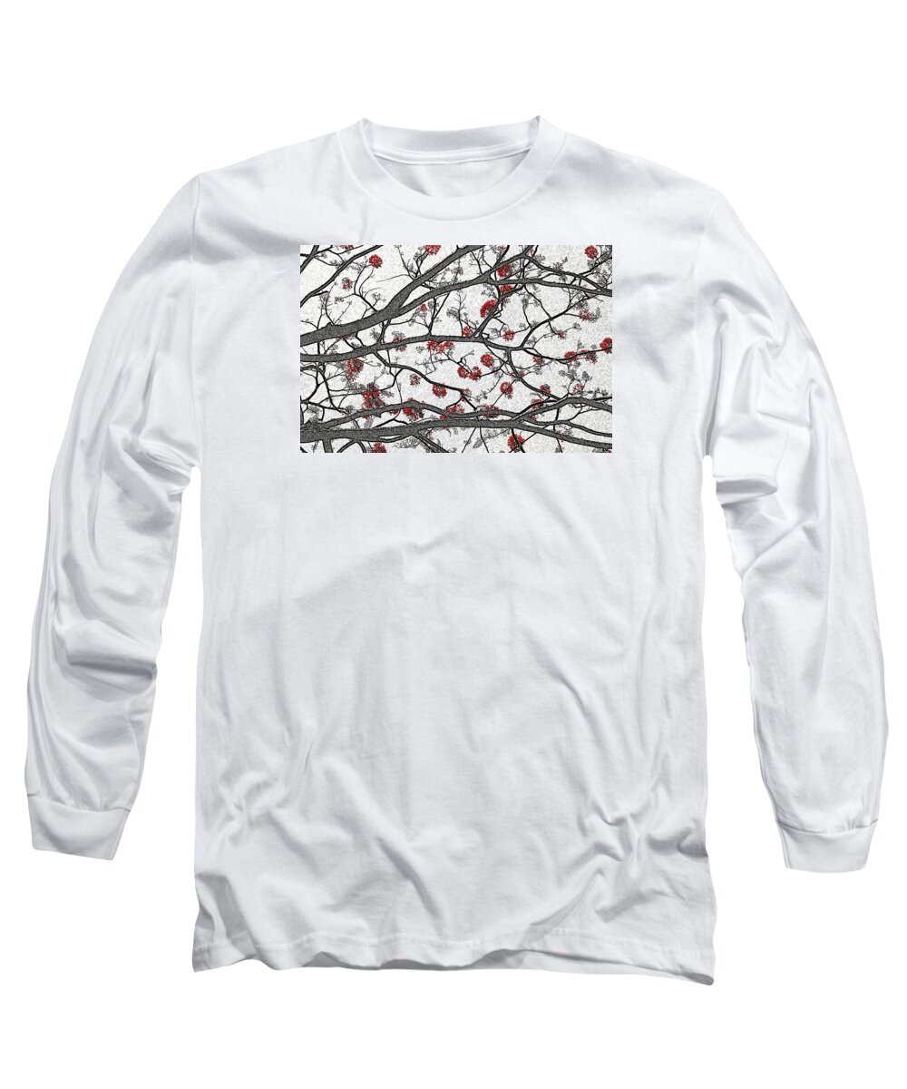 Trees Long Sleeve T-Shirt featuring the photograph Erythrina by Andre Aleksis