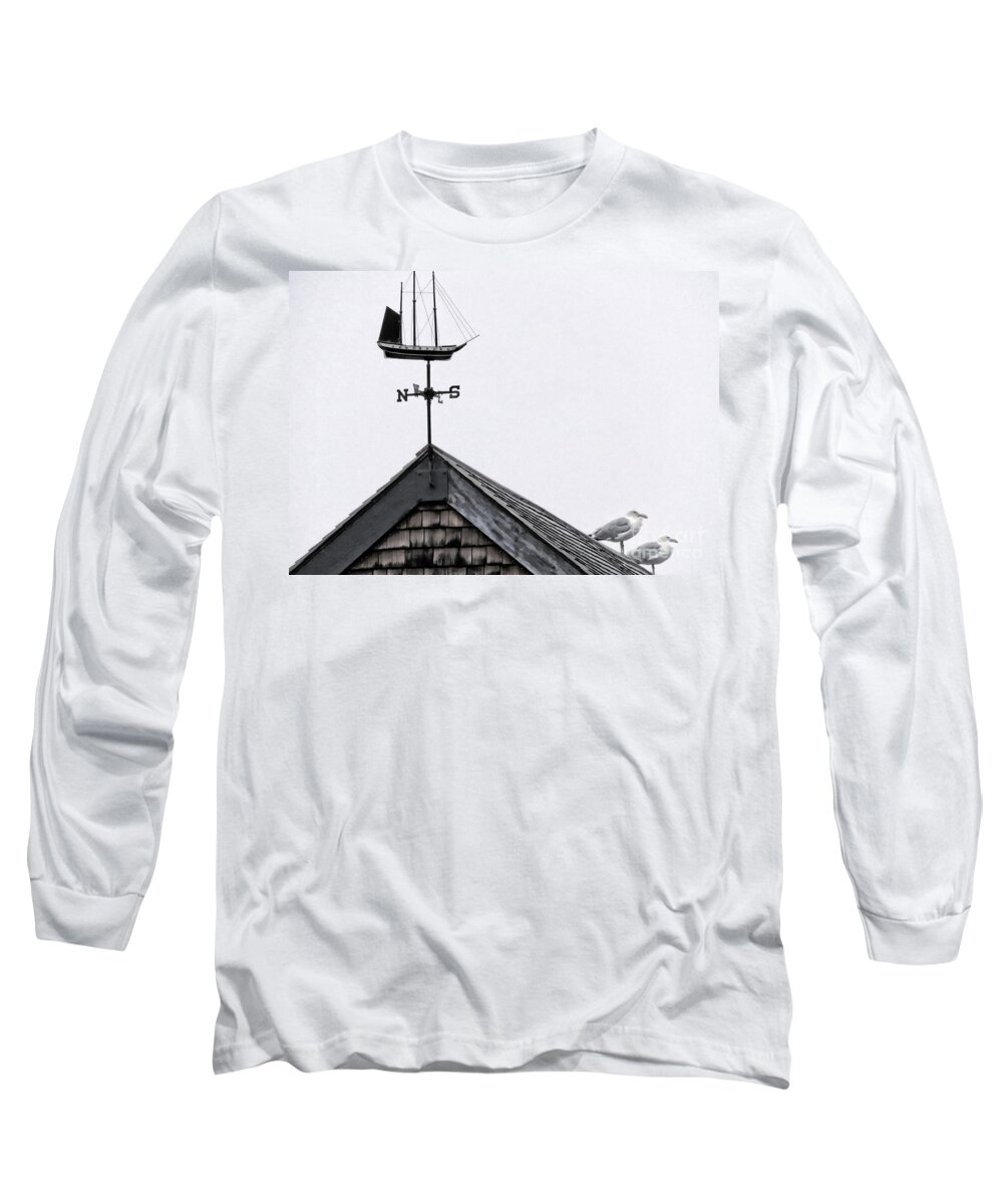 Landmark Long Sleeve T-Shirt featuring the photograph Facing South by Marcia Lee Jones