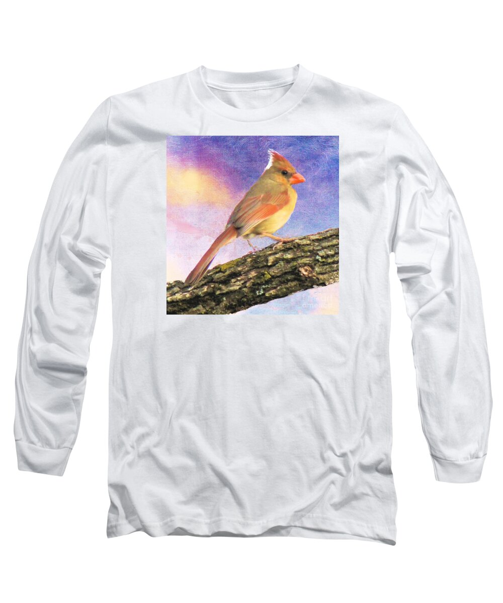 Bird Long Sleeve T-Shirt featuring the photograph Female Cardinal Away From Sun by Janette Boyd