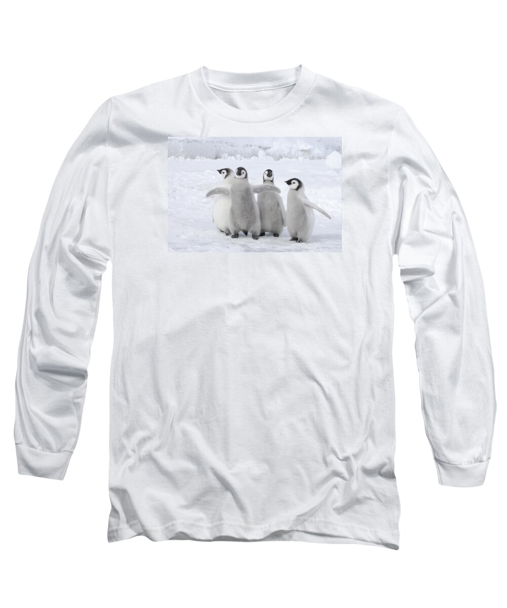 Flpa Long Sleeve T-Shirt featuring the photograph Four Emperor Penguin Chicks Weddell Sea by Bill Coster