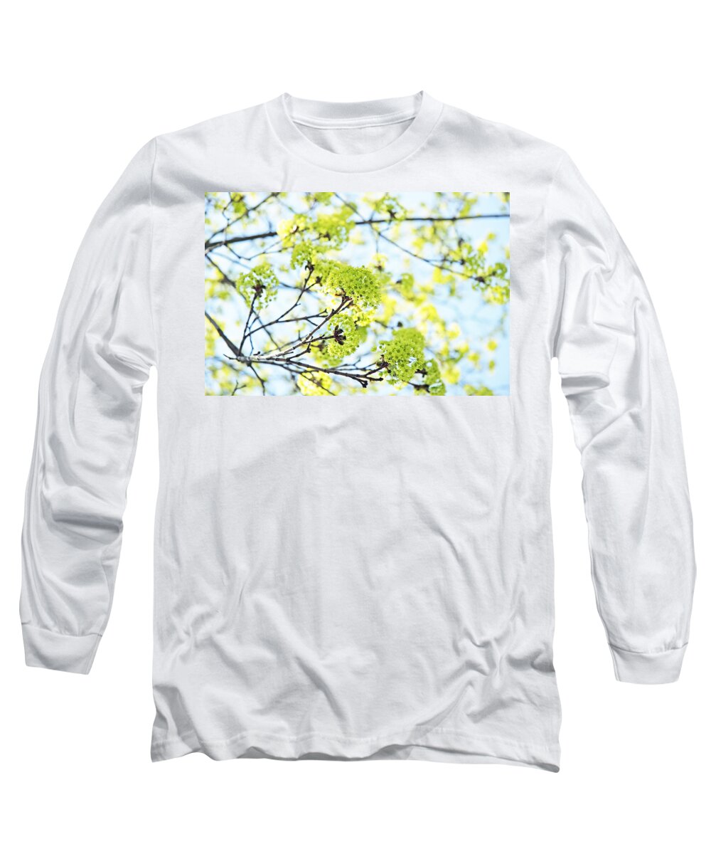 Blue Long Sleeve T-Shirt featuring the photograph Fresh Spring Green Buds by Brooke T Ryan