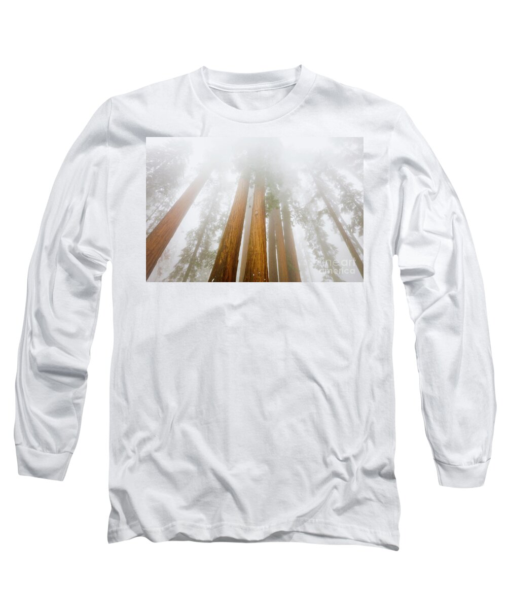 00431213 Long Sleeve T-Shirt featuring the photograph Giant Sequoias in the Fog #2 by Yva Momatiuk John Eastcott