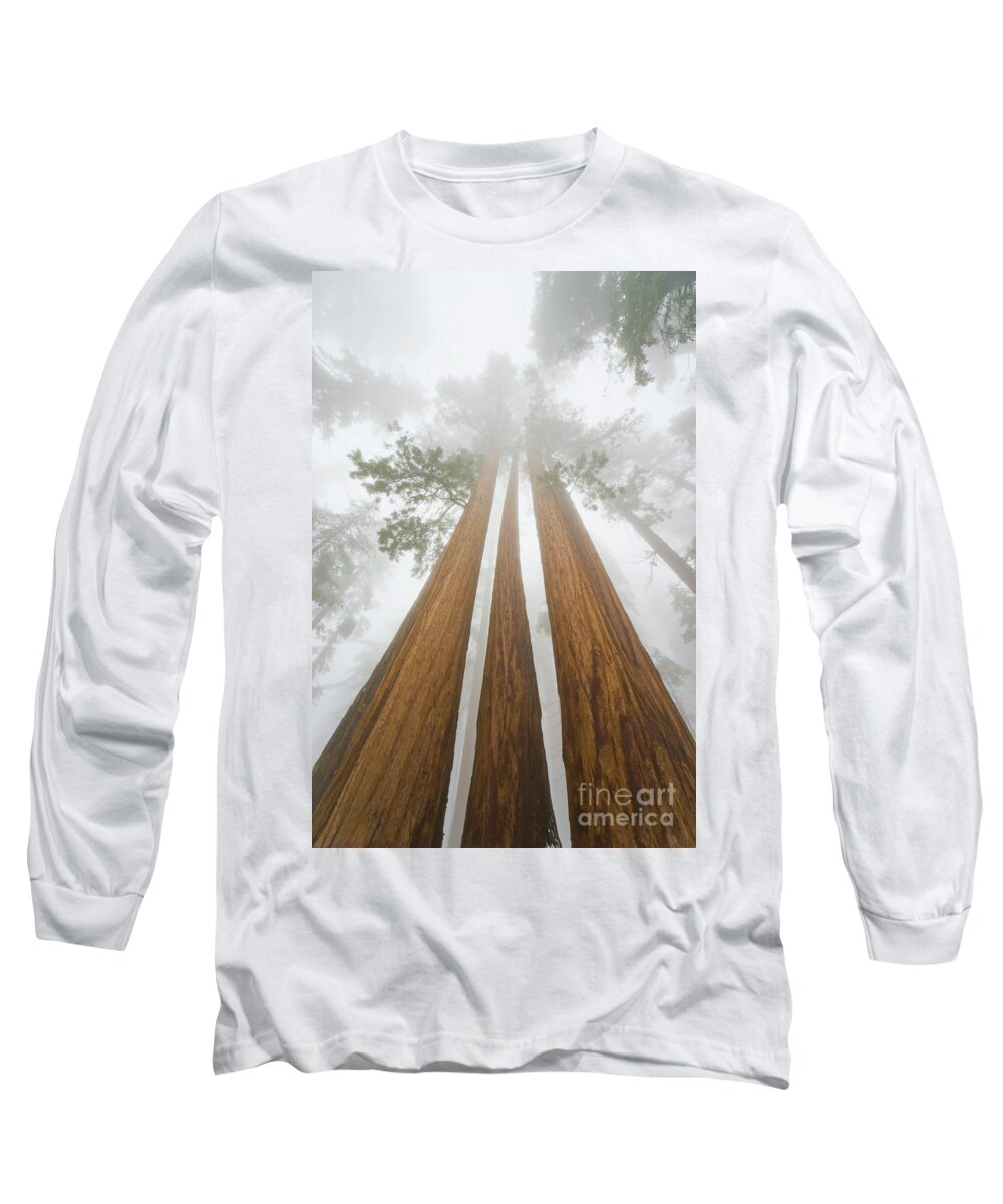 00431220 Long Sleeve T-Shirt featuring the photograph Giant Sequoias In the Fog by Yva Momatiuk John Eastcott