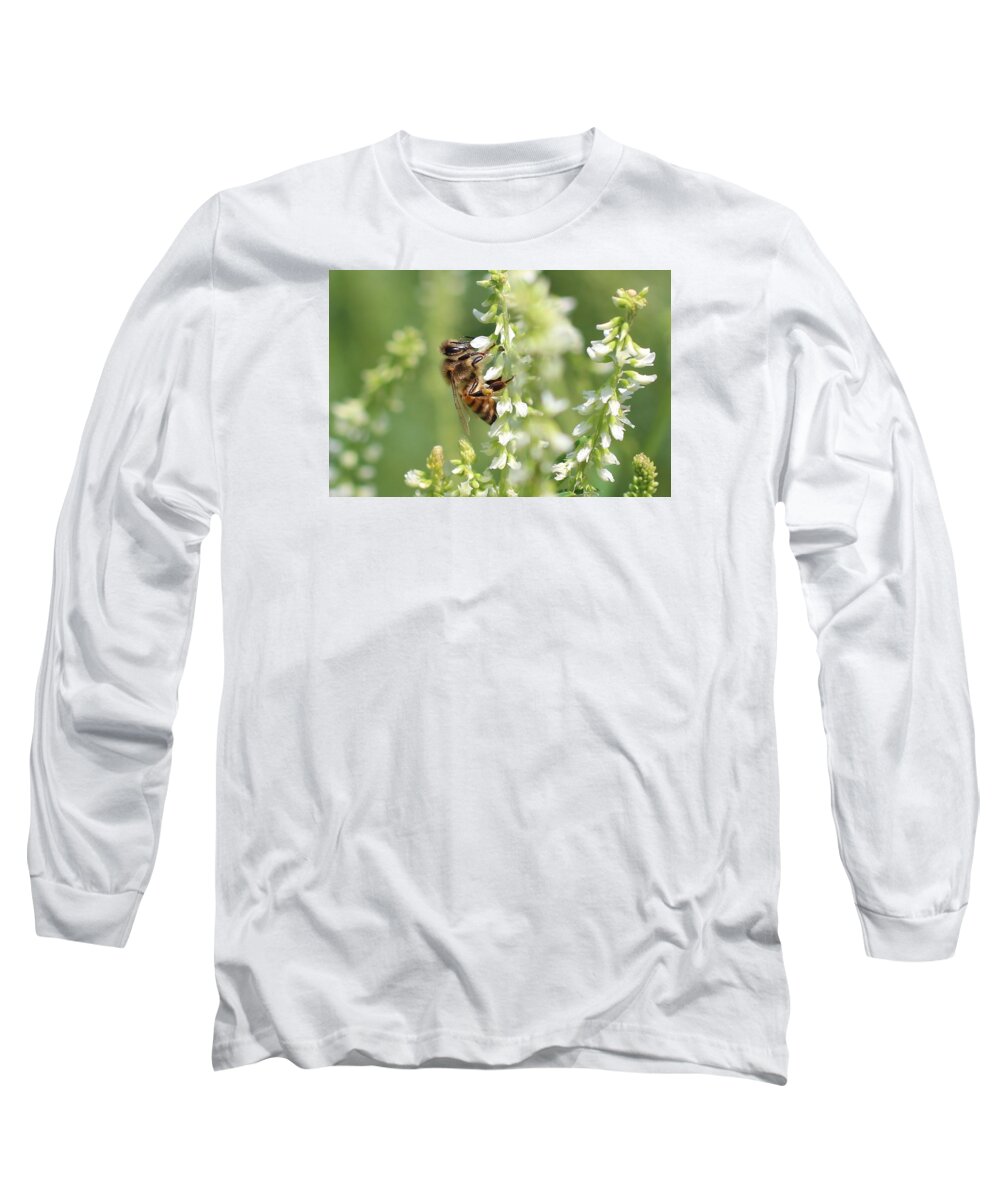 Honeybee Long Sleeve T-Shirt featuring the photograph Honeybee on Sweet Clover by Lucinda VanVleck