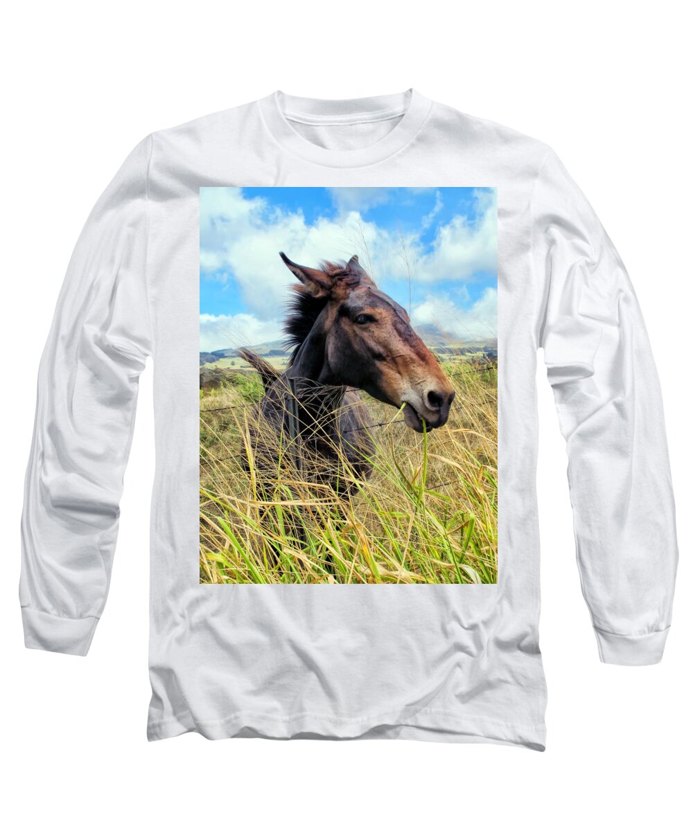 Horse Long Sleeve T-Shirt featuring the photograph Horse 6 by Dawn Eshelman