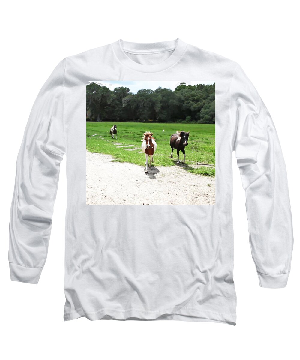 Horses Long Sleeve T-Shirt featuring the photograph Horses Frolicking by Jan Marvin by Jan Marvin