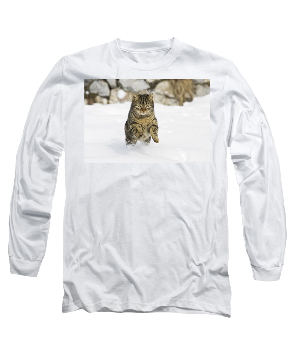 Feb0514 Long Sleeve T-Shirt featuring the photograph House Cat Male Running In Snow Germany by Konrad Wothe