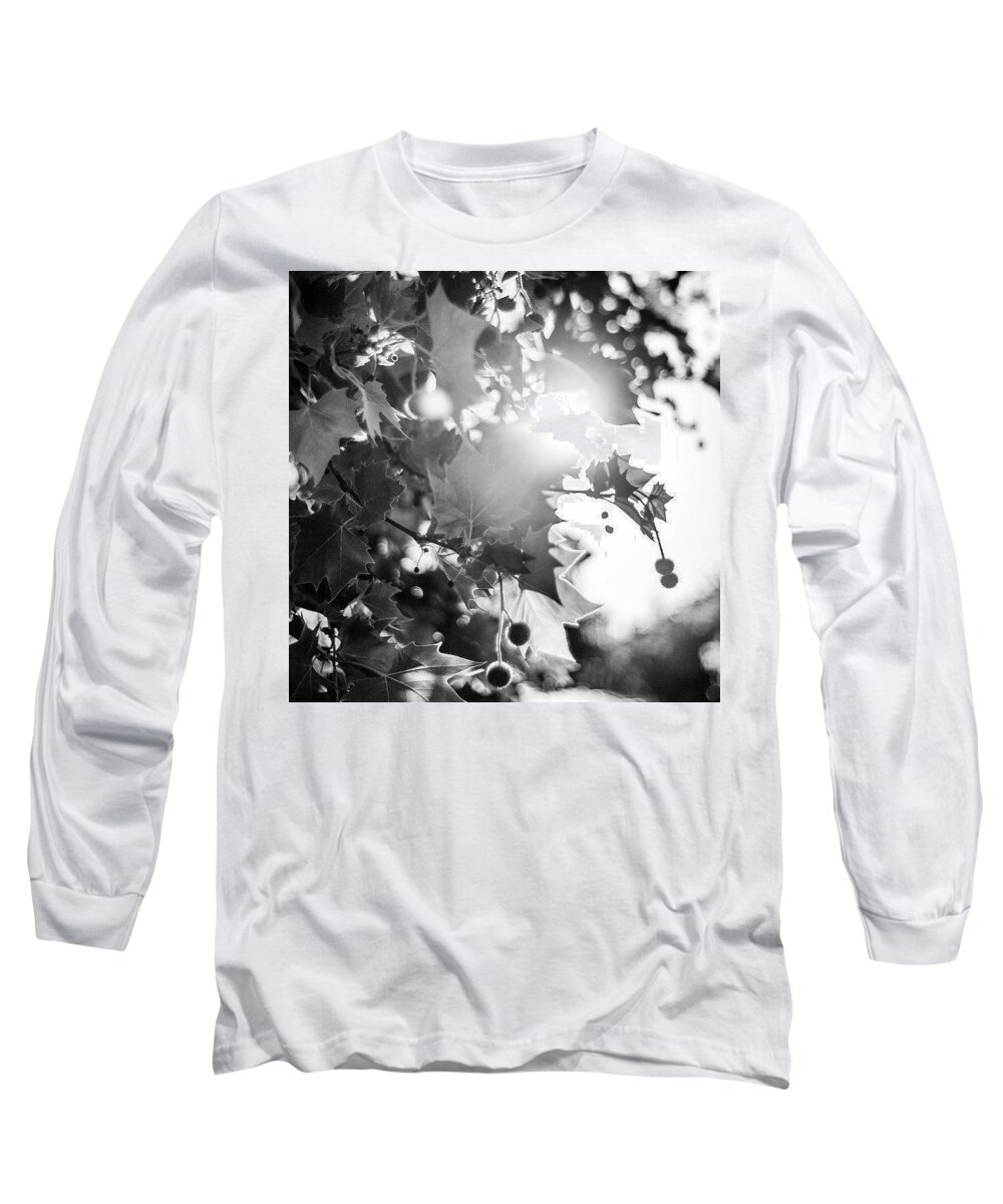 Leaf Long Sleeve T-Shirt featuring the photograph In The Trees by Aleck Cartwright