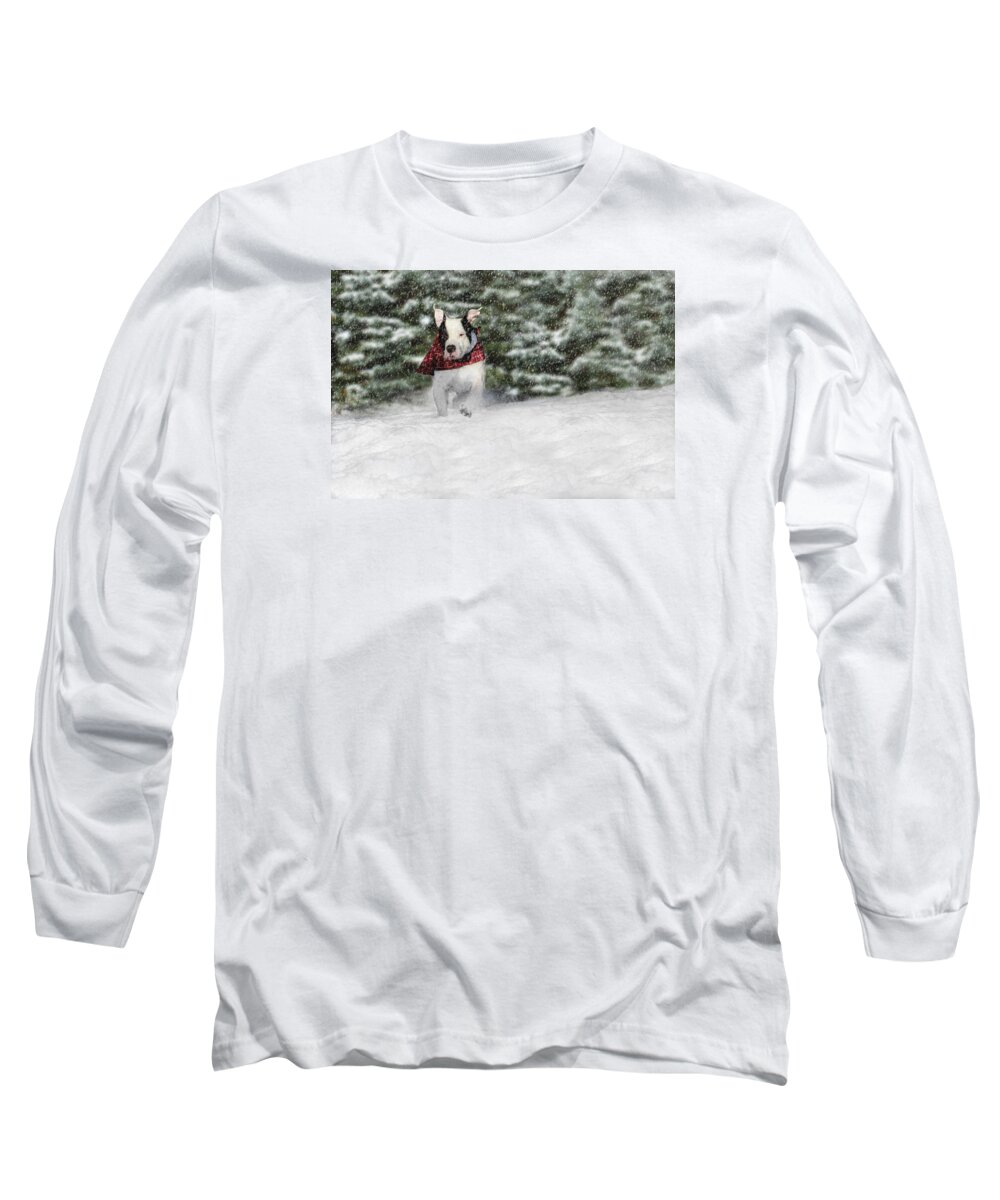 Bubba Long Sleeve T-Shirt featuring the photograph Snow Day by Shelley Neff