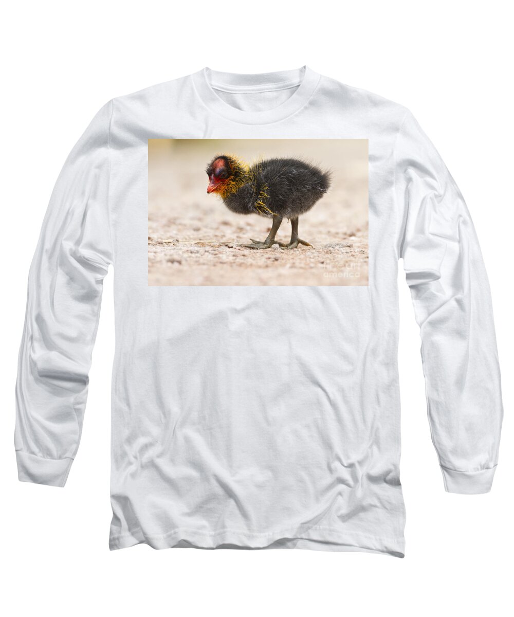 American Coot Long Sleeve T-Shirt featuring the photograph Little baldy by Bryan Keil