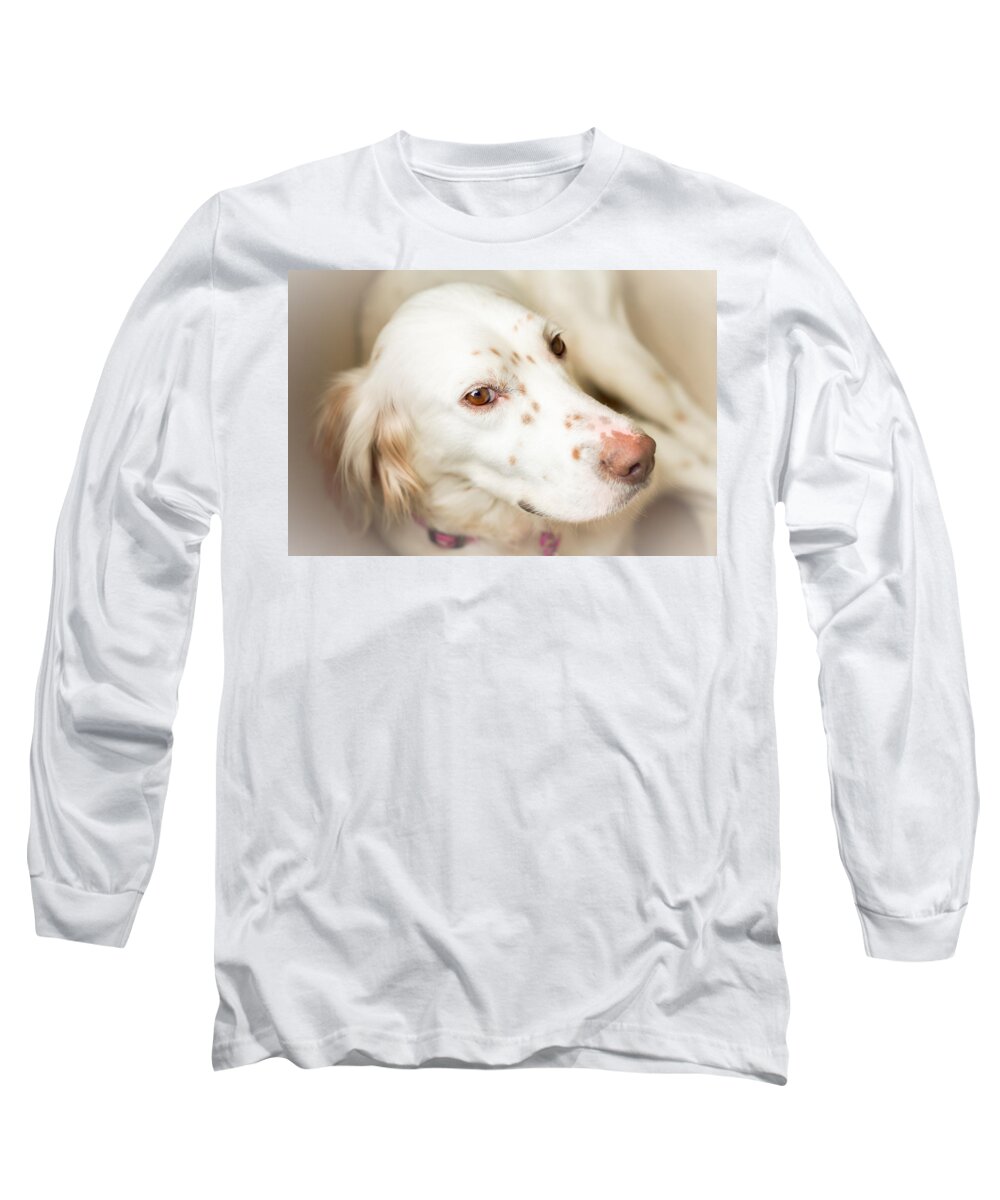 Portrait Long Sleeve T-Shirt featuring the photograph Luna the English Setter by Brian Caldwell