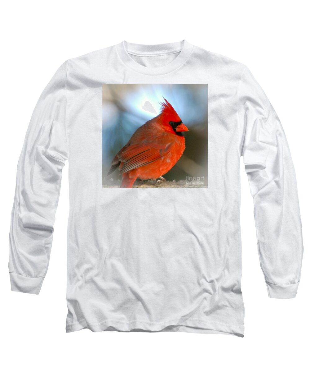 Male Cardinal Long Sleeve T-Shirt featuring the photograph Male Cardinal by Kerri Farley