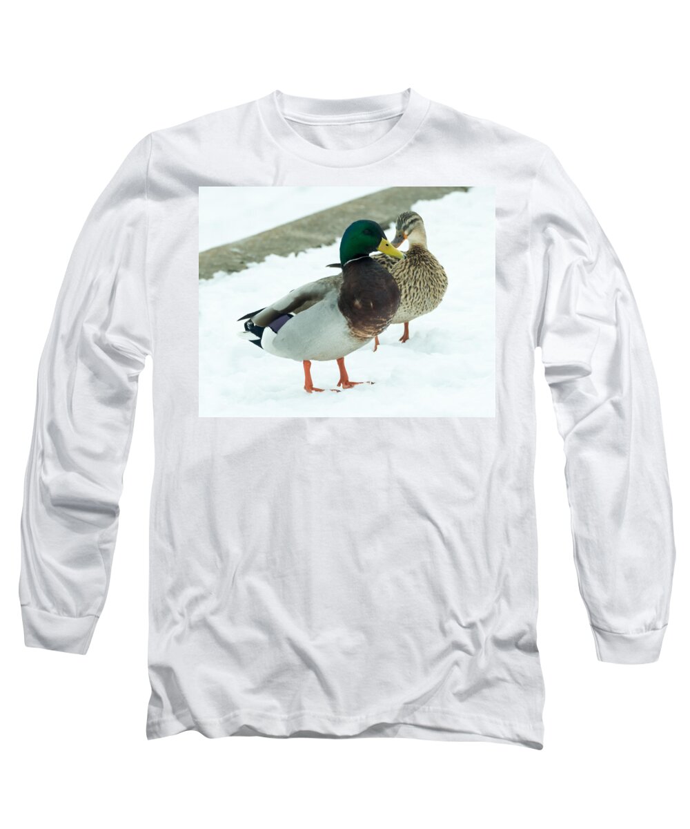 Drake Long Sleeve T-Shirt featuring the photograph Mallards in the Snow by Holden The Moment