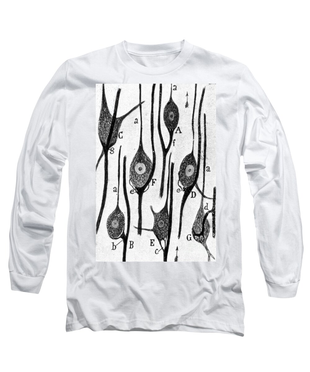 Ramon Long Sleeve T-Shirt featuring the photograph Neural Connections Illustrated by Science Source