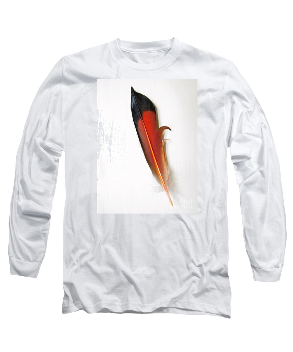 Photography Long Sleeve T-Shirt featuring the photograph Northern Flicker Tail Feather by Sean Griffin