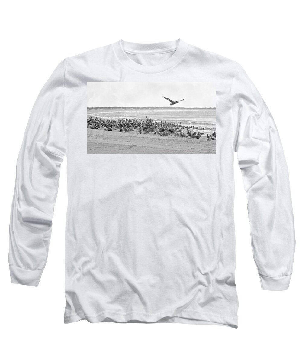 Pelican Long Sleeve T-Shirt featuring the photograph Pelican Convention by Betsy Knapp