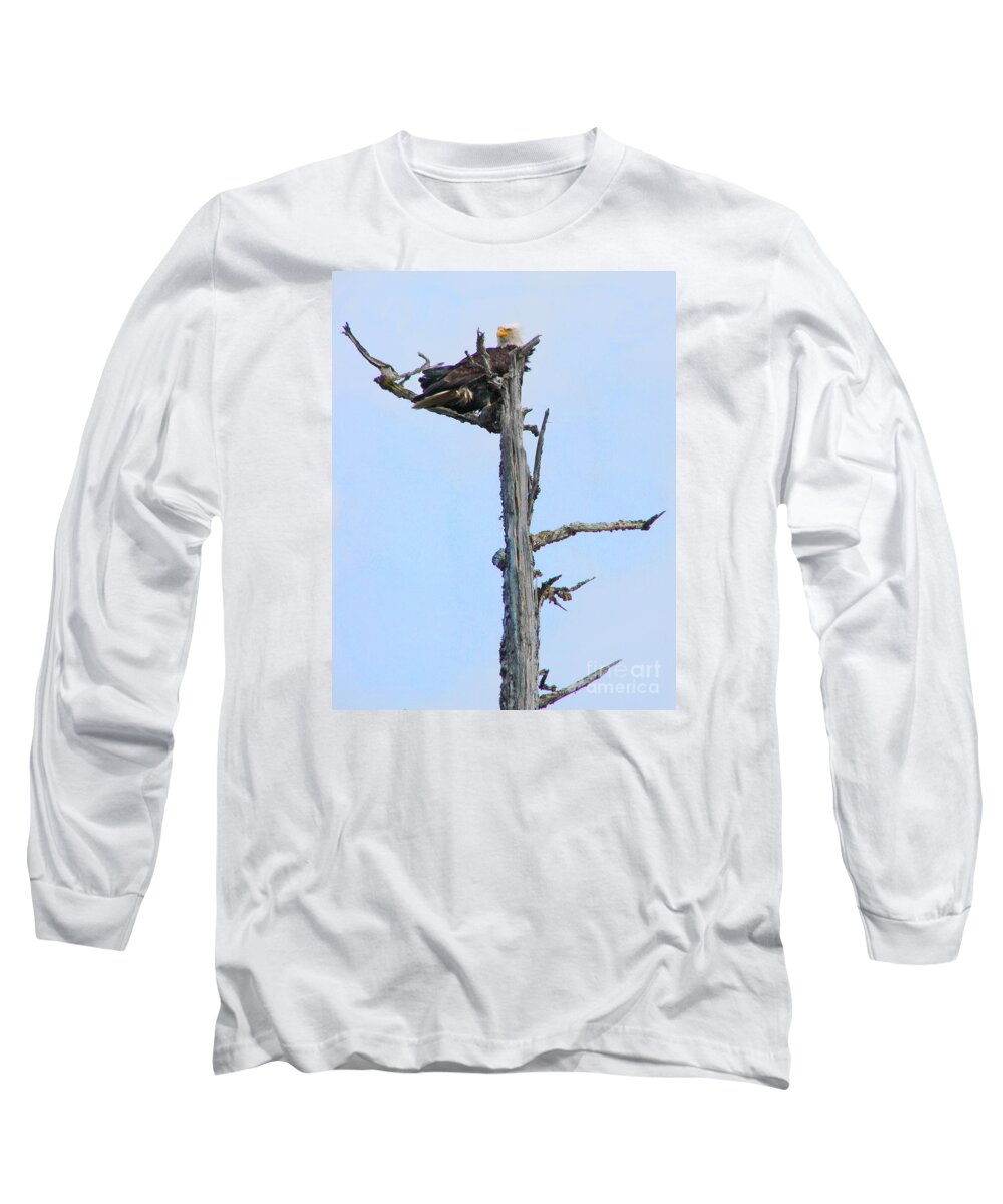 Eagle Long Sleeve T-Shirt featuring the photograph Perched Eagle by Vivian Martin