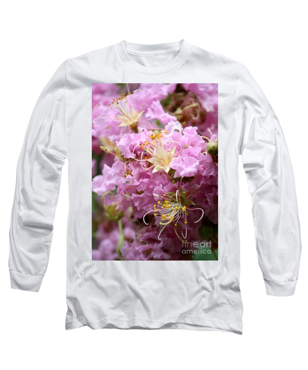 Lagerstroemia Long Sleeve T-Shirt featuring the photograph Pink Crepe Myrtle Closeup by Carol Groenen