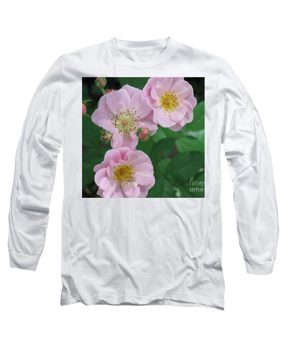 Knockout Roses Long Sleeve T-Shirt featuring the photograph Pink roses by HEVi FineArt