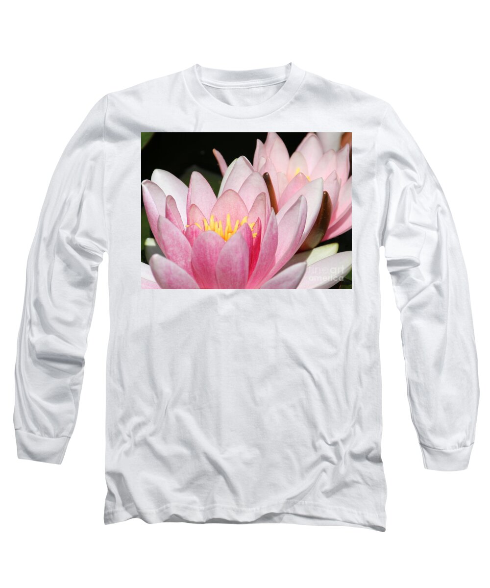 Lilies Long Sleeve T-Shirt featuring the photograph Pink Water Lily by Amanda Mohler