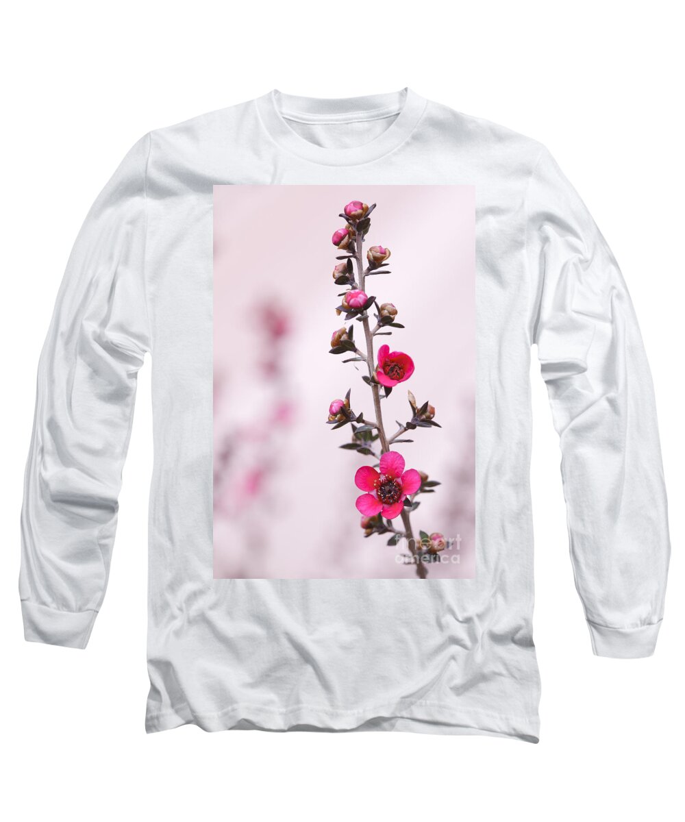 Red Long Sleeve T-Shirt featuring the photograph Red New Zealand Tea tree macro by Ken Brown