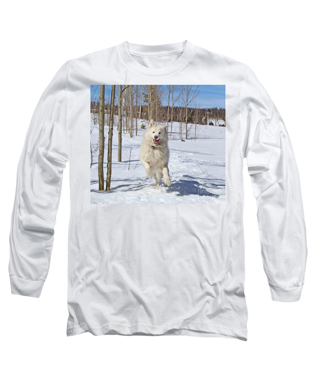 Samoyed Long Sleeve T-Shirt featuring the photograph Smiling From Ear To Ear by Fiona Kennard
