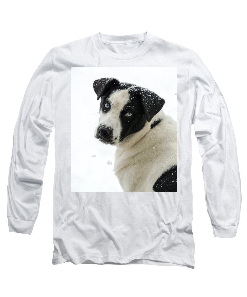 Dog Long Sleeve T-Shirt featuring the photograph Snow Puppy by Holden The Moment