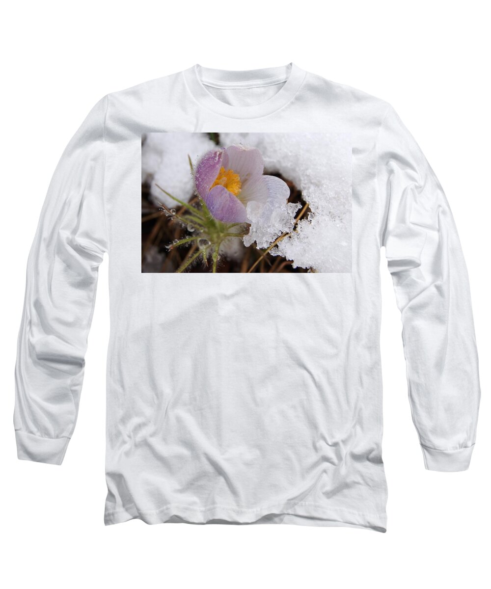 Dakota Long Sleeve T-Shirt featuring the photograph Snowy Pasqueflower by Greni Graph