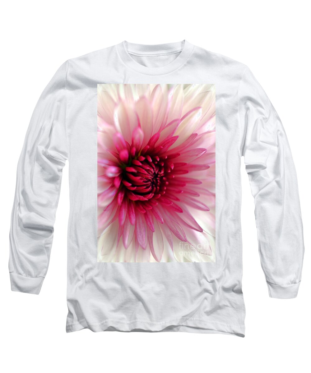 Chrysanthemum Long Sleeve T-Shirt featuring the photograph Splash of Pink by Deb Halloran