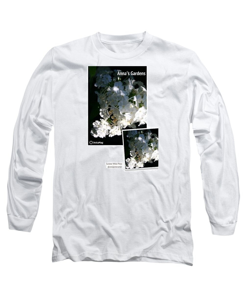 Summer Long Sleeve T-Shirt featuring the photograph Summer White Phlox, Afternoon Light by Anna Porter