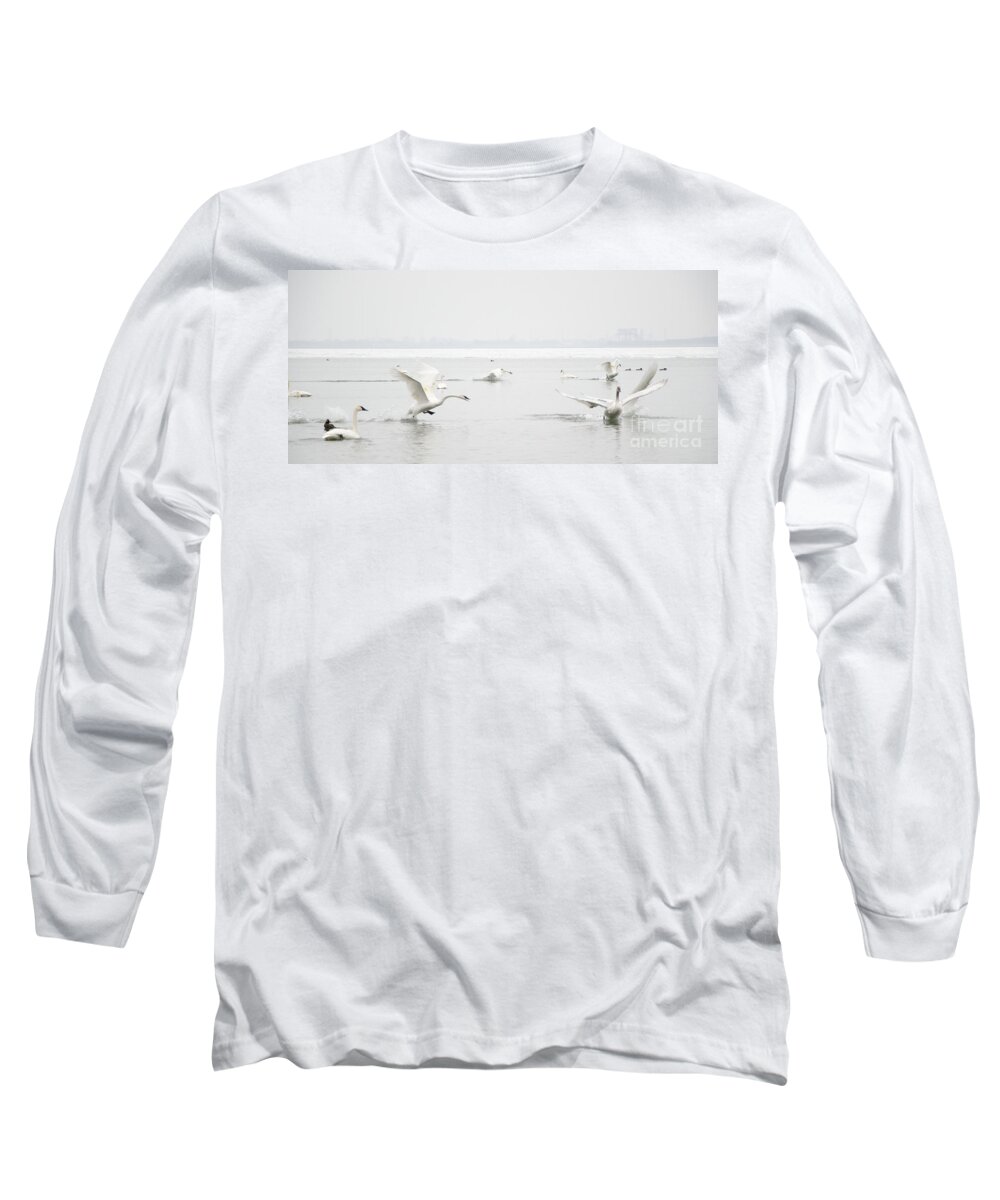Swan Long Sleeve T-Shirt featuring the photograph Swan Fight by Laurel Best